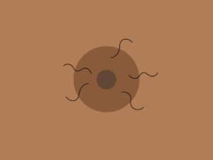 Read more about the article Downside to Plucking Around your Areola
