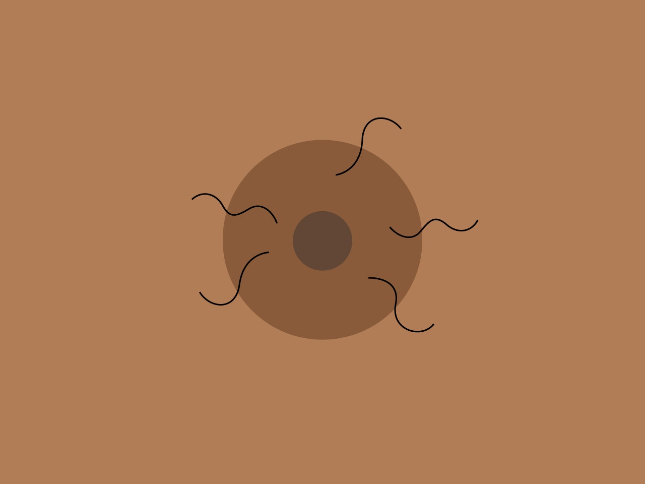 Read more about the article Downside to Plucking Around your Areola