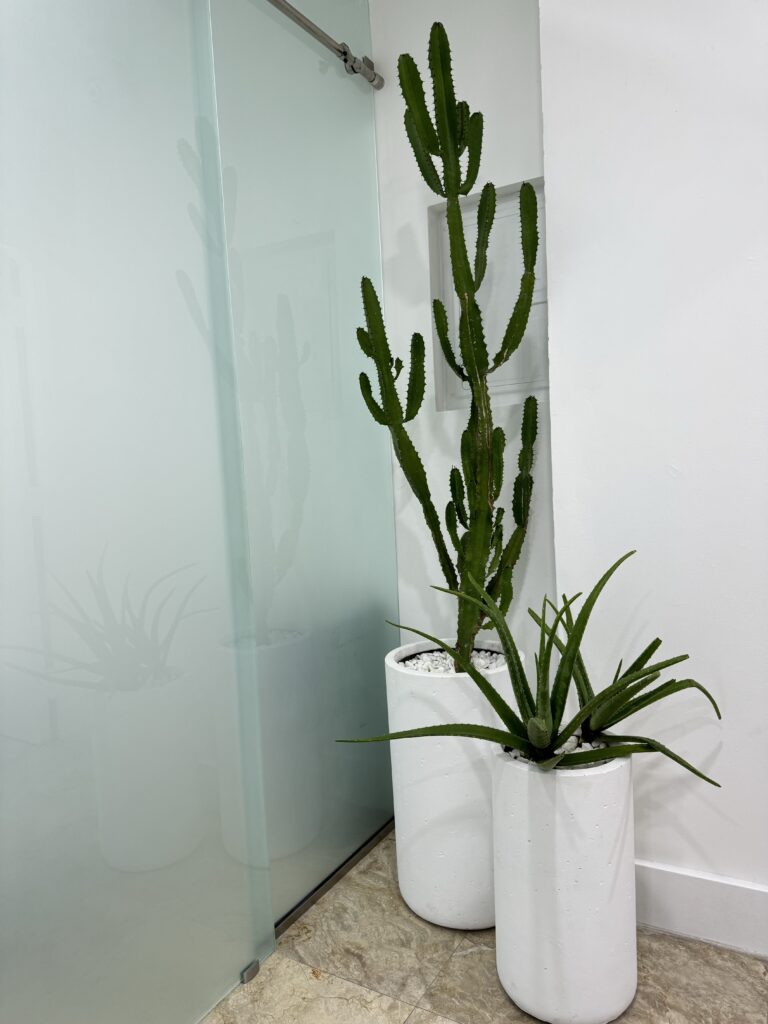 Interior detail at Mayical Skincare